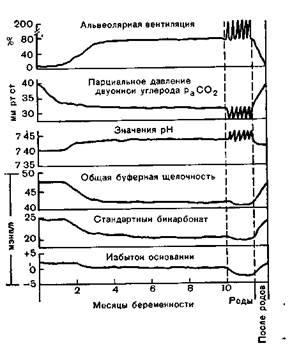 Физиологические изменения в течение беременности - student2.ru