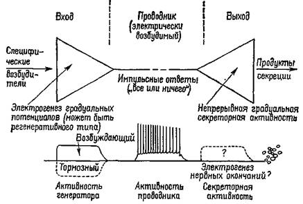 функции мозга: механизм двух процессов - student2.ru