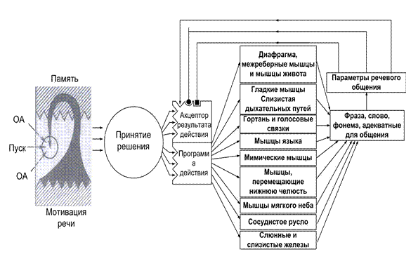 Функциональная схема формирования слова, фонемы - student2.ru