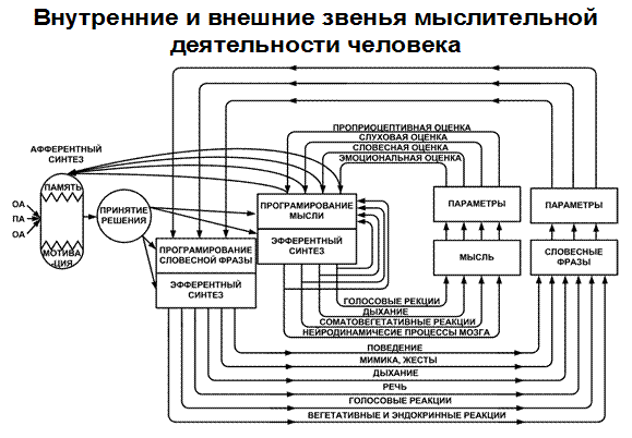 Функциональная схема формирования слова, фонемы - student2.ru