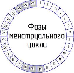 ГЛАВА 1 Общие особенности женского организма - student2.ru