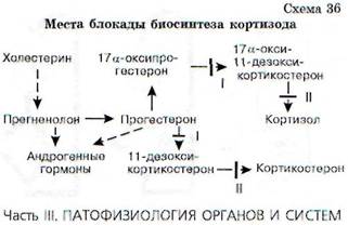 глава 19 патофизиология эндокринной системы - student2.ru