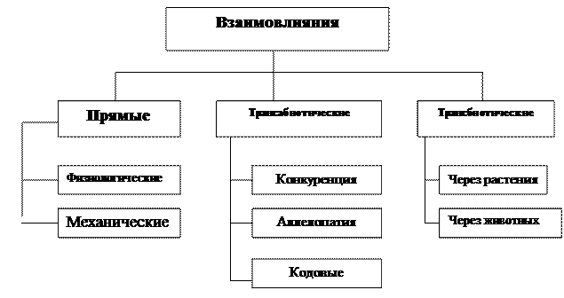 глава 3. взаимоотношения растений в фитоценозах - student2.ru