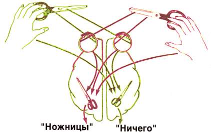 глава вторая. предвидение галена - student2.ru