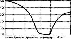 I — артериальное давление, записанное мембранным манометром; 2 - электрические импульсы, итиилимые от нервного волокна; 3 - отметка времени 0.2 с - student2.ru