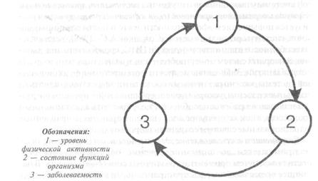 и состояние их здоровья - student2.ru