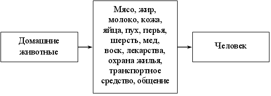 II. Открытие нового знания - student2.ru