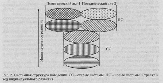 Ii. теория функциональных систем в отдельных областях психологии 1. системная психофизиология - student2.ru