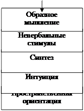 Индивидуальные различия мыслительной деятельности - student2.ru