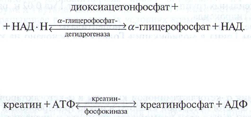 Изменения содержания объема общего кальция, неорганического фосфора и активности щелочной фосфатазы в сыворотке крови при заболеваниях костной - student2.ru