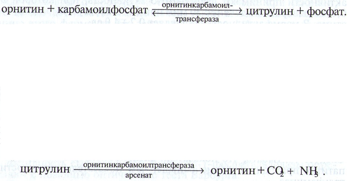 Изменения содержания объема общего кальция, неорганического фосфора и активности щелочной фосфатазы в сыворотке крови при заболеваниях костной - student2.ru