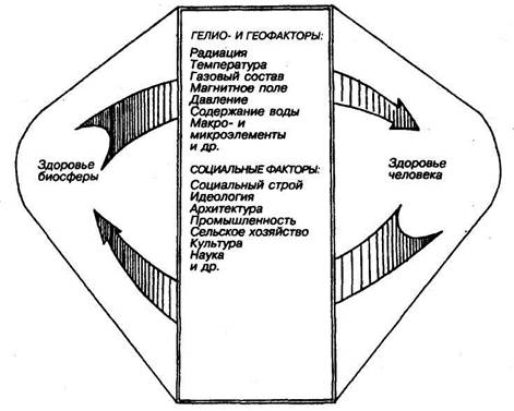 конституция, расы, среда обитания - student2.ru