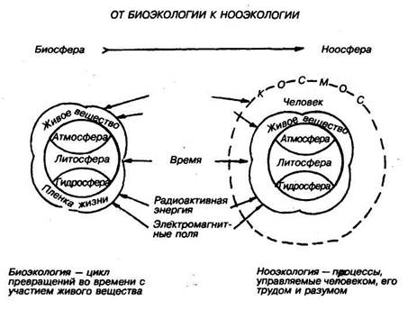 конституция, расы, среда обитания - student2.ru