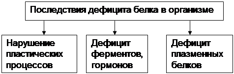 Логическая структура темы: «Патофизиология белкового обмена» - student2.ru