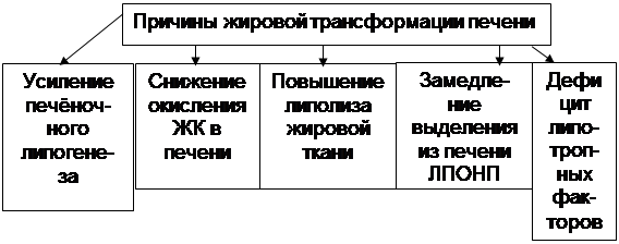 Логическая структура темы: «Патофизиология жирового обмена» - student2.ru