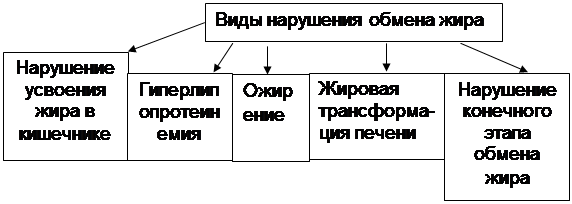 Логическая структура темы: «Патофизиология жирового обмена» - student2.ru