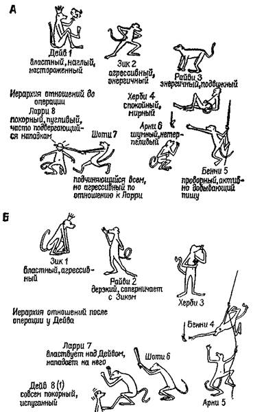 механизмы запуска п торможения элементарных потребностей - student2.ru