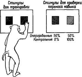 механизмы запуска п торможения элементарных потребностей - student2.ru