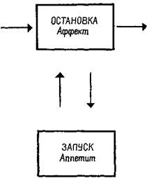 механизмы запуска п торможения элементарных потребностей - student2.ru