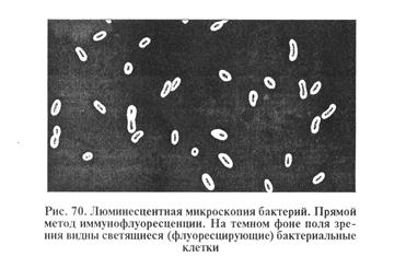 метод флуоресцирующих антител (мфа). иммуноферментный анализ (ифа) - student2.ru