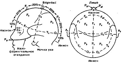 Методы исследования функций коры больших полушарий - student2.ru