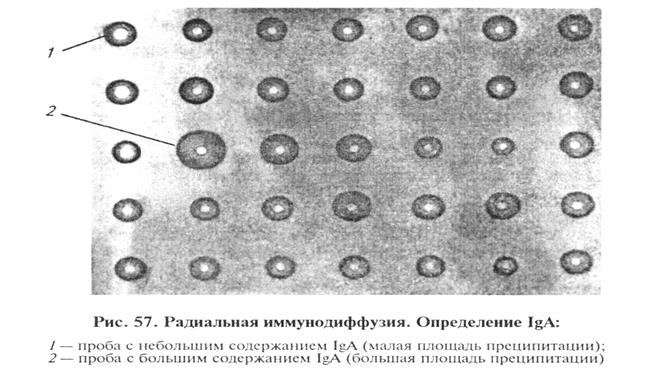 методы определения факторов неспецифической резистентности и оценки иммунного статуса макроорганизма - student2.ru