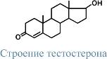 Мужские половые гормоны - student2.ru