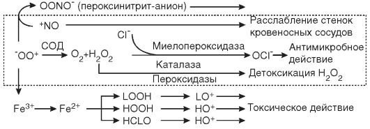 Нарушение барьерной функции биологических мембран - student2.ru