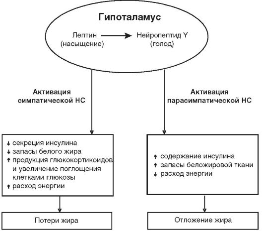 Нарушение депонирования жиров - student2.ru