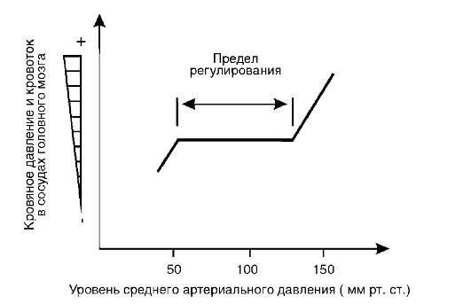 Нарушения и компенсация мозгового кровообращения при артериальной гипер- и гипотензии - student2.ru