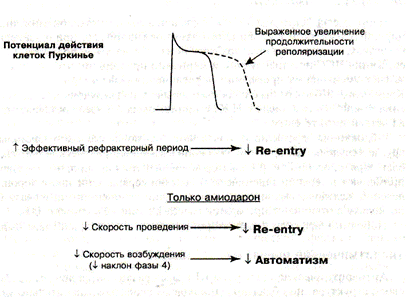 Назовите противоаритмические препараты IВ класса - student2.ru