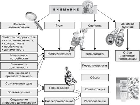 Нервная модель стимула. Нейрофизиологические механизмы внимания. - student2.ru