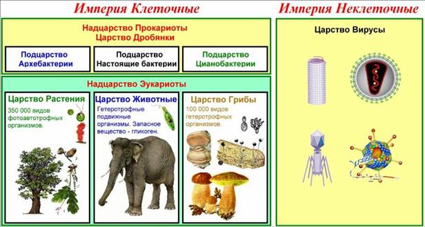 Ниже описаны некоторые из них - student2.ru