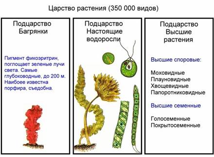 Ниже описаны некоторые из них - student2.ru