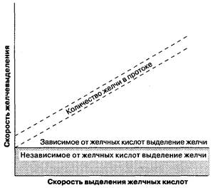 Образование желчи и синдром холестаза - student2.ru