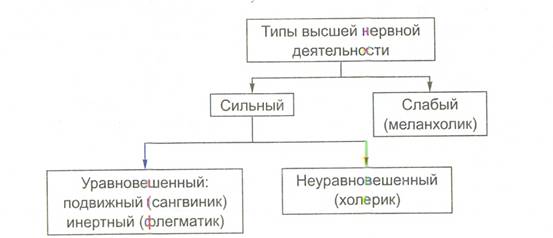 Общая характеристика типов высшей нервной деятельности животных и человека. Темперамент и нервная система - student2.ru