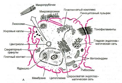 Общие правила работы в учебной лаборатории - student2.ru