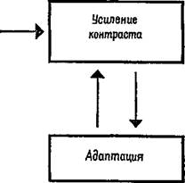 ориентировочная реакция и привыкание - student2.ru