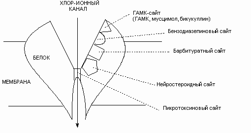 Основные фармакологические агенты, влияющие на синаптическую передачу - student2.ru