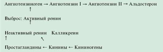 Основными компонентами матрикса являются - student2.ru