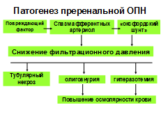 Патогенетическая коррекция ОПН - student2.ru