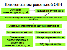 Патогенетическая коррекция ОПН - student2.ru