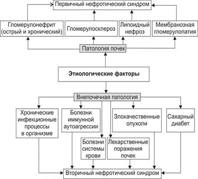 Патогенез. Основные звенья патогенеза постстрептококкового гломерулонефрита - student2.ru