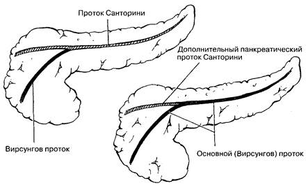 Первичный склерозирующий холангит - student2.ru