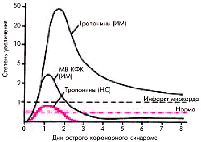 Первичный тромбоцитарно-сосудистый гемостаз - student2.ru