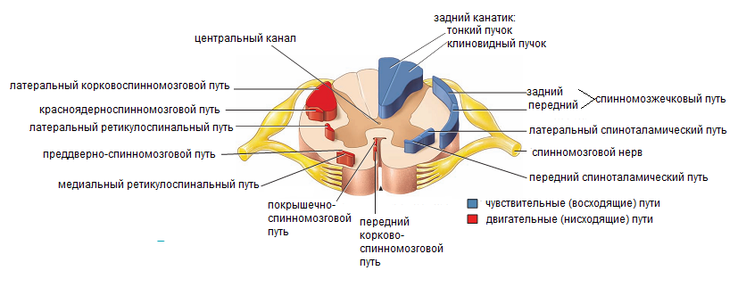 Подведите итоги работы - student2.ru