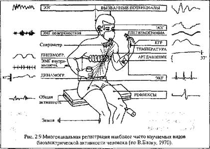 Показатели активности мышечной системы - student2.ru