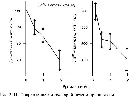 повреждение клеток при гипоксии - student2.ru