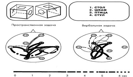 повторный вход возбуждения и информационный синтез - student2.ru