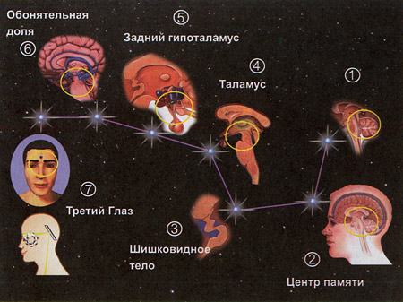 Практика Большой Медведицы - student2.ru